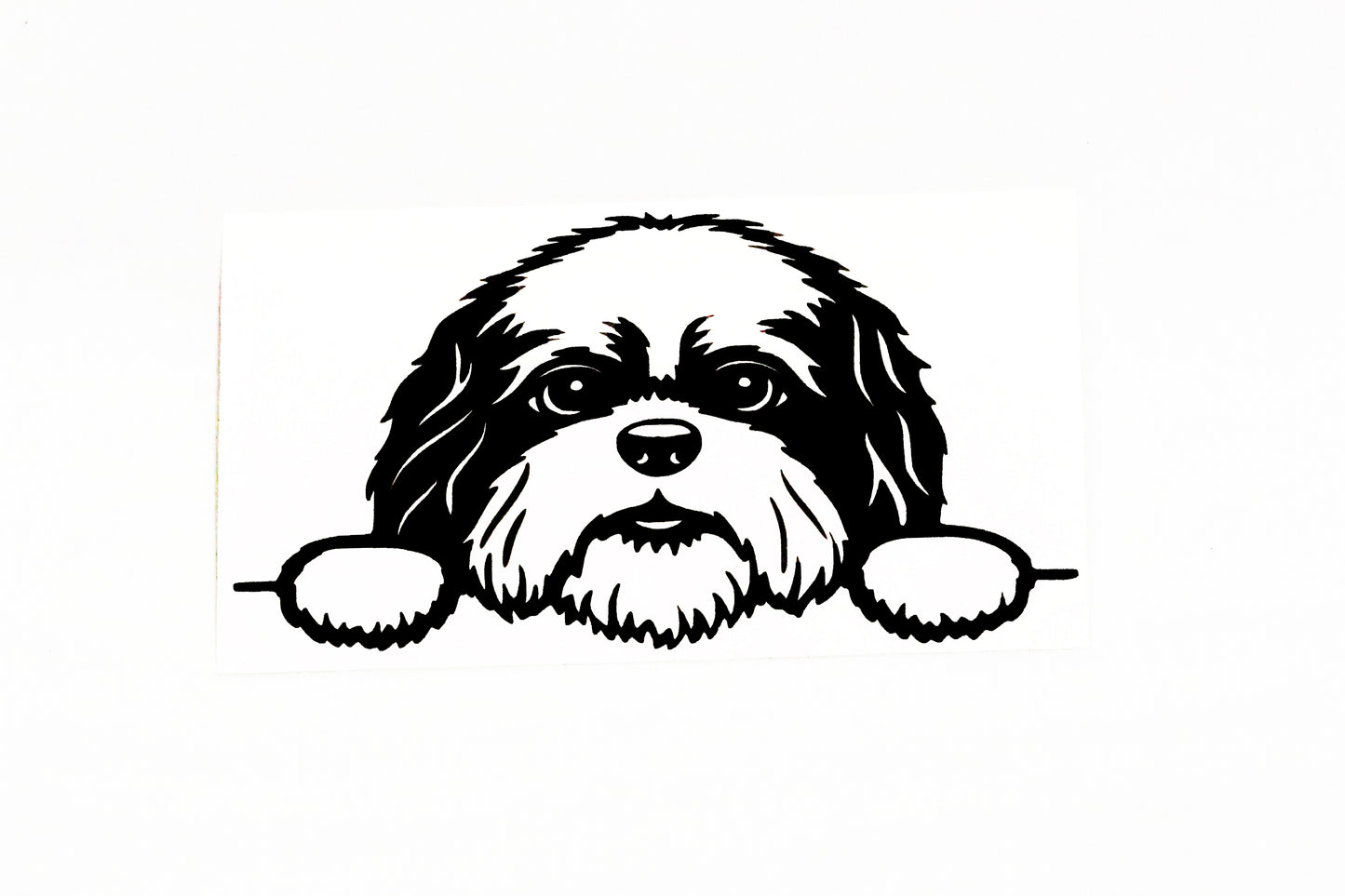 Cute Shih Tzu Dog On Boards Car Van Bumper Window Decal Vinyl Sticker - klmarket.uk