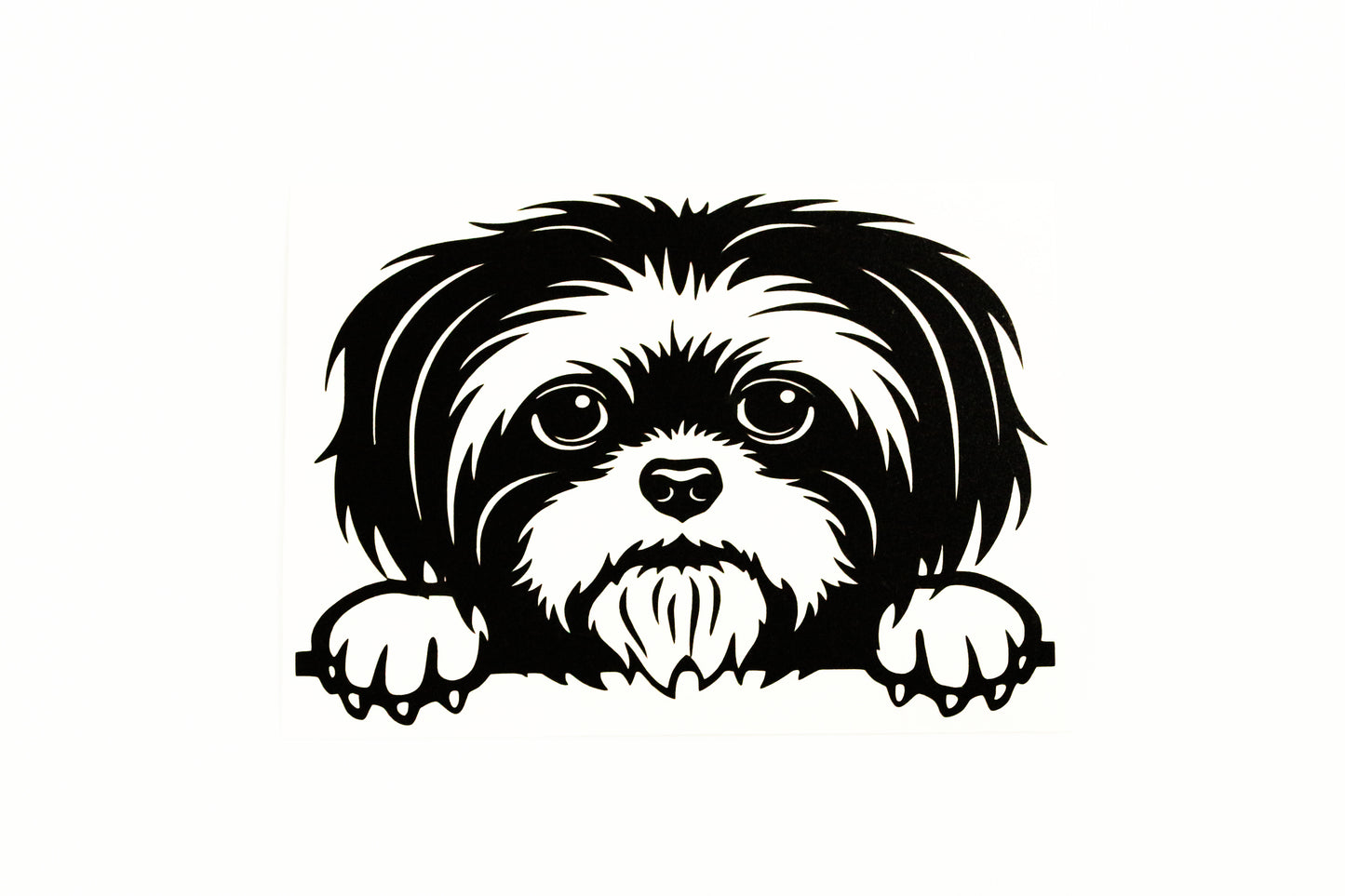 Peeking Shih Tzu Dog On Boards Car Bumper Sticker