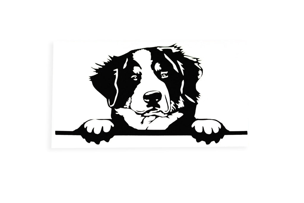 Bernese Mountain Dog On Board Peeking Bumper Sticker Vinyl Decal - klmarket.uk