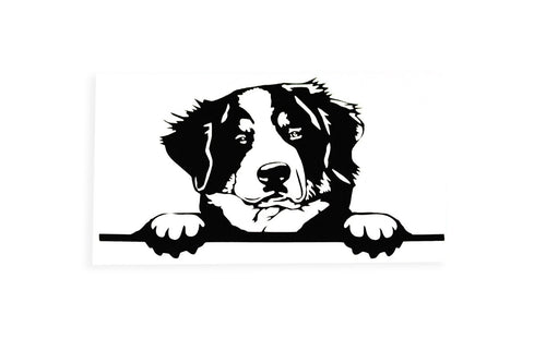 Bernese Mountain Dog On Board Peeking Bumper Sticker Vinyl Decal - klmarket.uk