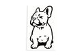 French Bulldog Dog On Board Car Bumper Sticker Window Vinyl Decal - klmarket.uk