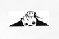 Peeking Groot Funny Car Van Bumper Sticker Vinyl Decal - klmarket.uk