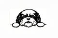 Cute Shih Tzu Dog On Boards Car Van Bumper Window Decal Vinyl Sticker - klmarket.uk