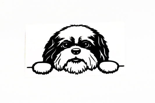 Cute Shih Tzu Dog On Boards Car Van Bumper Window Decal Vinyl Sticker - klmarket.uk