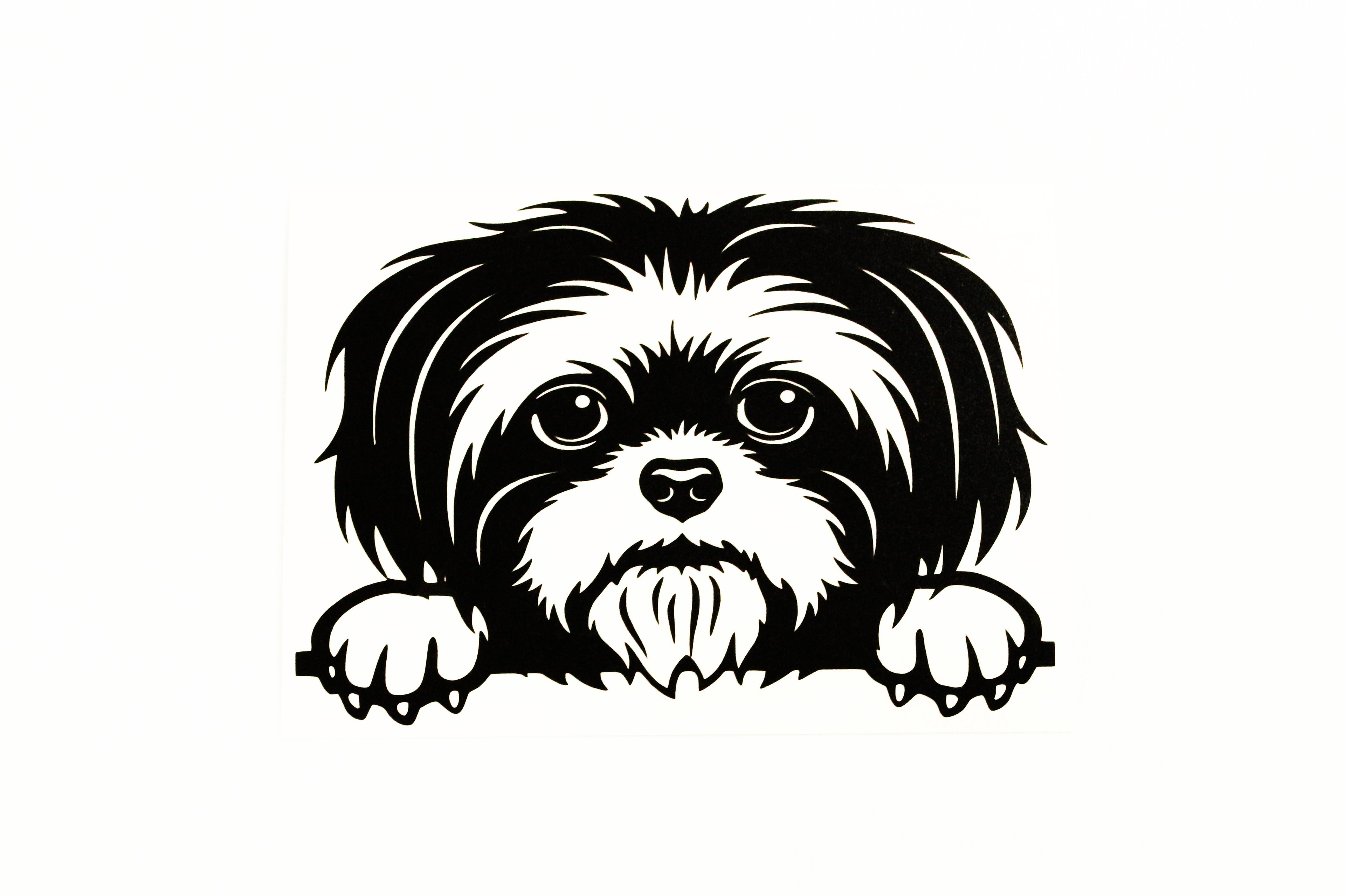 Peeking Shih Tzu Dog On Boards Car Bumper Sticker