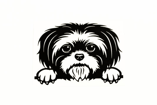 Peeking Shih Tzu Dog On Boards Car Bumper Sticker