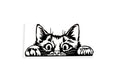 Peeking Cat Bumper Sticker Window Wall Laptop Vinyl Decal - klmarket.uk