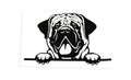 Peeking Mastiff Dog On Board Car Bumper Window Sticker Vinyl Decal - klmarket.uk